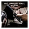 Sharpening service, Knife Aid Professional knife sharpening by mail, 4 knives, small 1