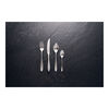 Modest, 16-pcs polished Dinner set, small 1