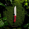 Outdoor, 3.5-inch, Hunting Knife With Leather Sheath, Red Jigged Bone, small 7