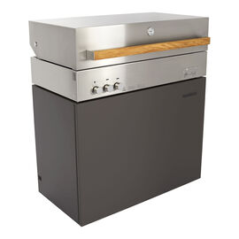 Propane gas grill, deep umbra