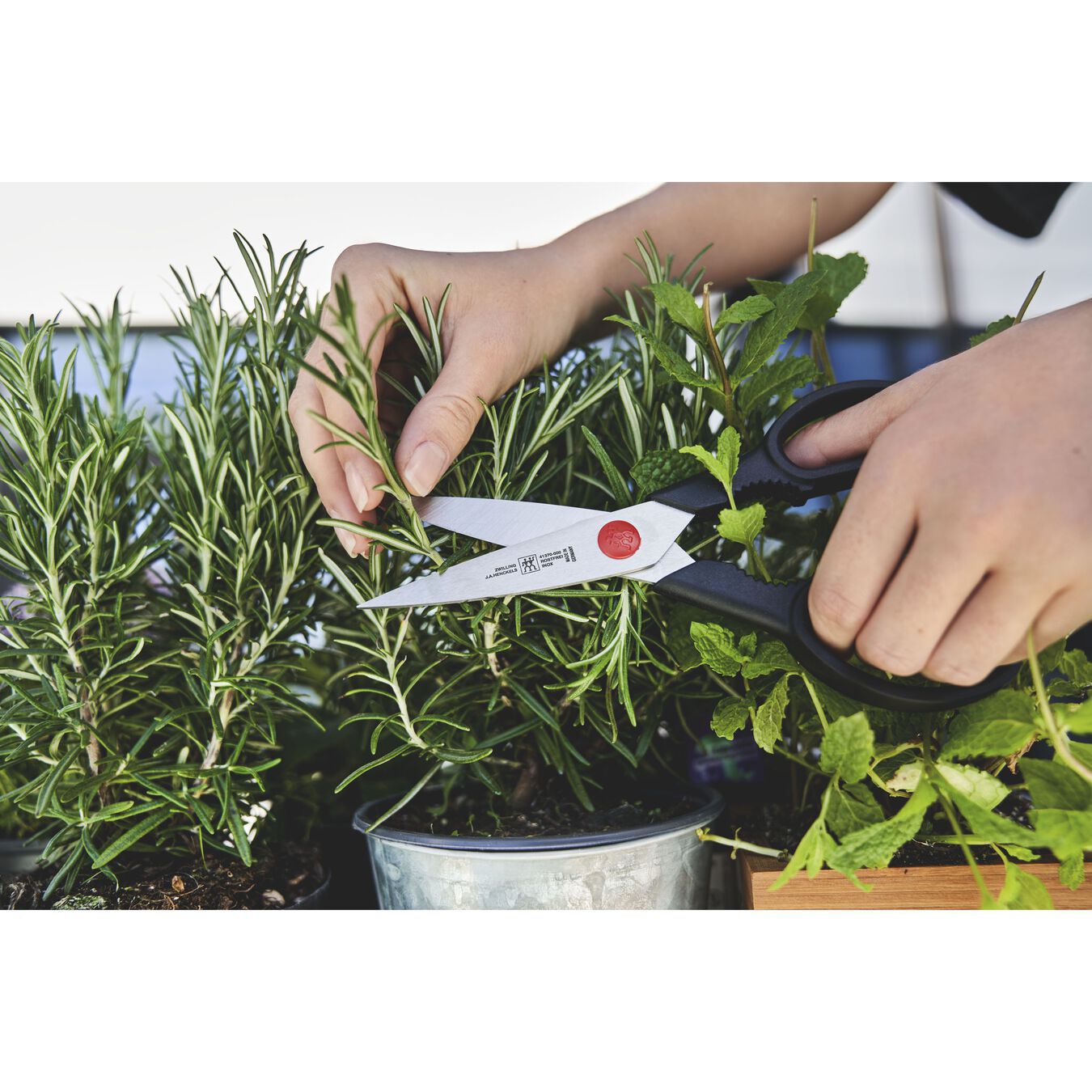 Buy ZWILLING Shears & Scissors Multipurpose shears