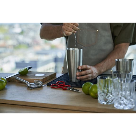 Buy ZWILLING Shears & Scissors Multipurpose shears