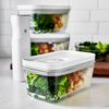 Fresh & Save, M Vacuum box, glass, grey, small 2