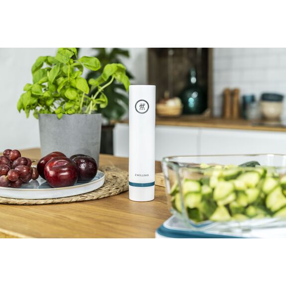 zwilling vacuum pump