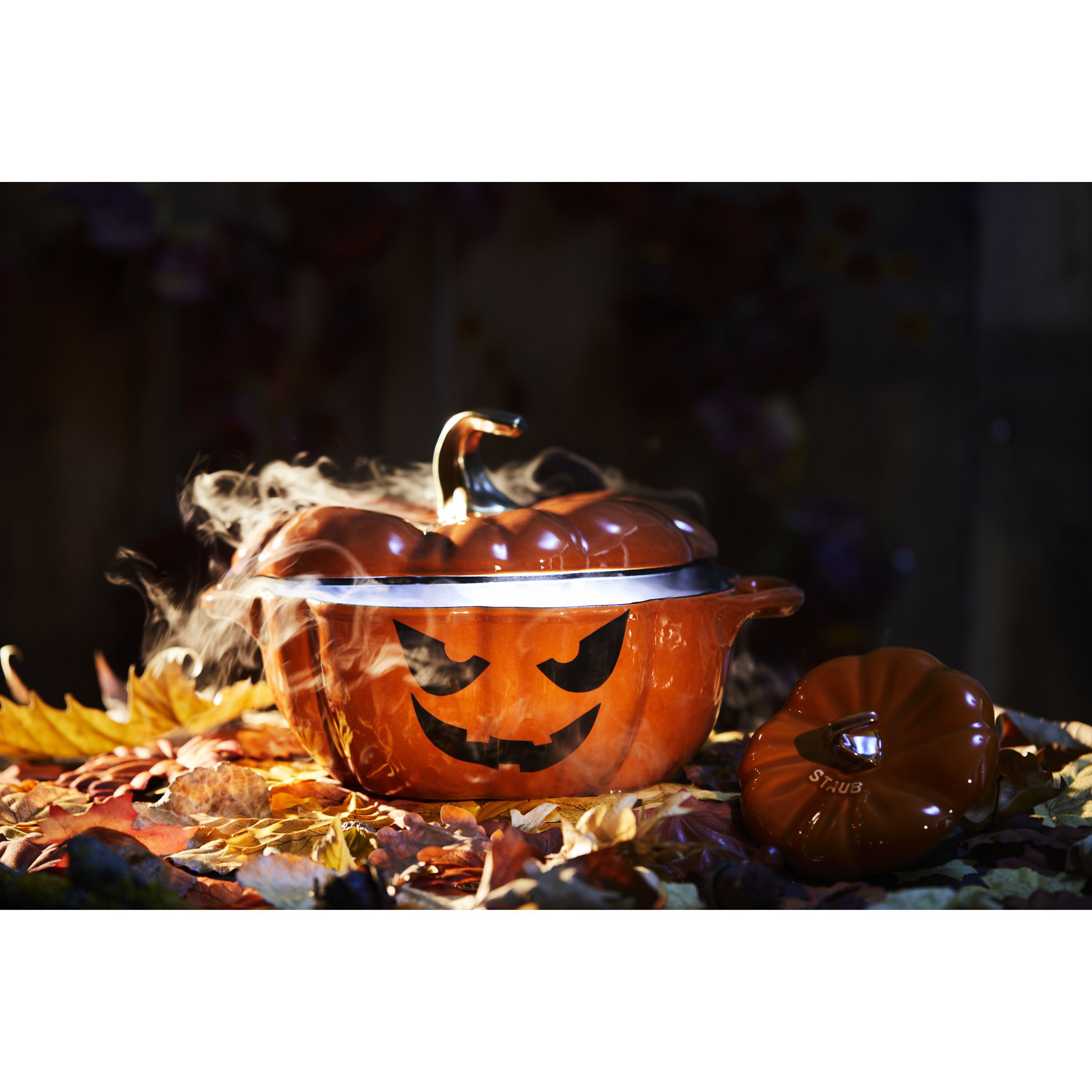 Buy Staub Cast Iron Cocotte | ZWILLING.COM