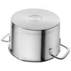 TrueFlow, 3 l stainless steel Stew pot, small 7