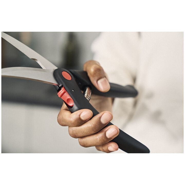 Geflügelschere 25 cm, Kunststoff, large 2