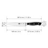 Brenta, 6.5 inch Carving knife, small 2