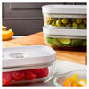 Fresh & Save, S / 4-pc, Vacuum Box Set, Glass, Grey, small 4