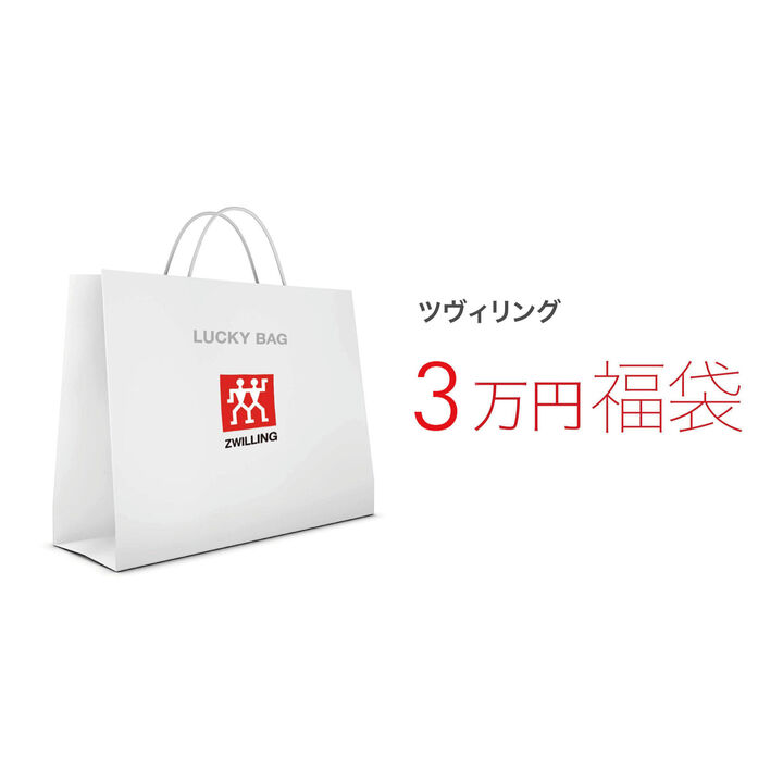 TWIN Fin II, ラッキーバッグ ツヴィリング 三万円 6-個, large 1