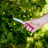 Outdoor, 3.5-inch, Trapper Folding Pocket Knife, Red Smooth Bone, small 4