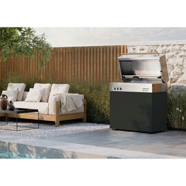 Propane gas grill, black matte