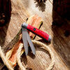 Outdoor, 3.5-inch, Trapper Folding Pocket Knife, Red Smooth Bone, small 9