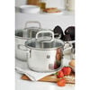 Quadro, 10 Piece 18/10 Stainless Steel Cookware set, small 4