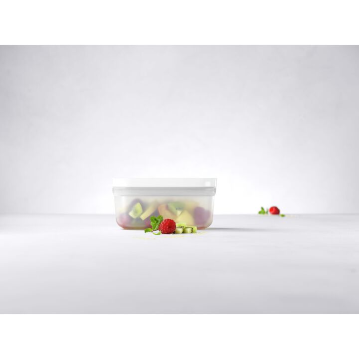 Fresh & Save, Vakuummadkasse sæt, 3 stk. / S, Semitransparent-Grå, Plastik, large 3