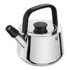 Plus, 16 cm 18/10 Stainless Steel Kettle silver, small 1