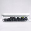 Fresh & Save, S Vacuum box, glass, grey, small 2