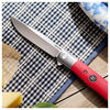 Outdoor, 3-inch, Flipper Folding Pocket Knife, Red G10, small 9