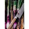 Birchwood SG2, 8-inch, Chef's Knife, small 10