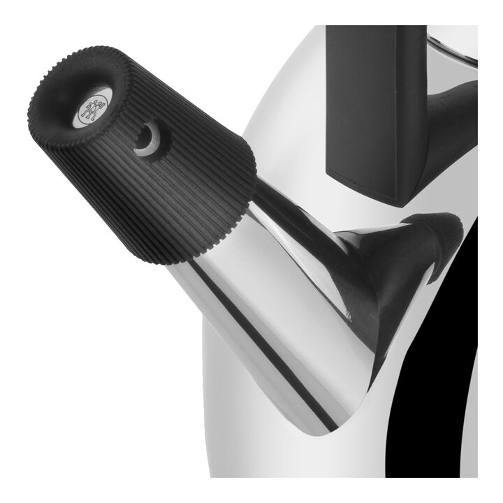 Buy ZWILLING Plus Kettle