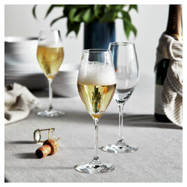 9.5-oz / 6-pc  Champagne Set