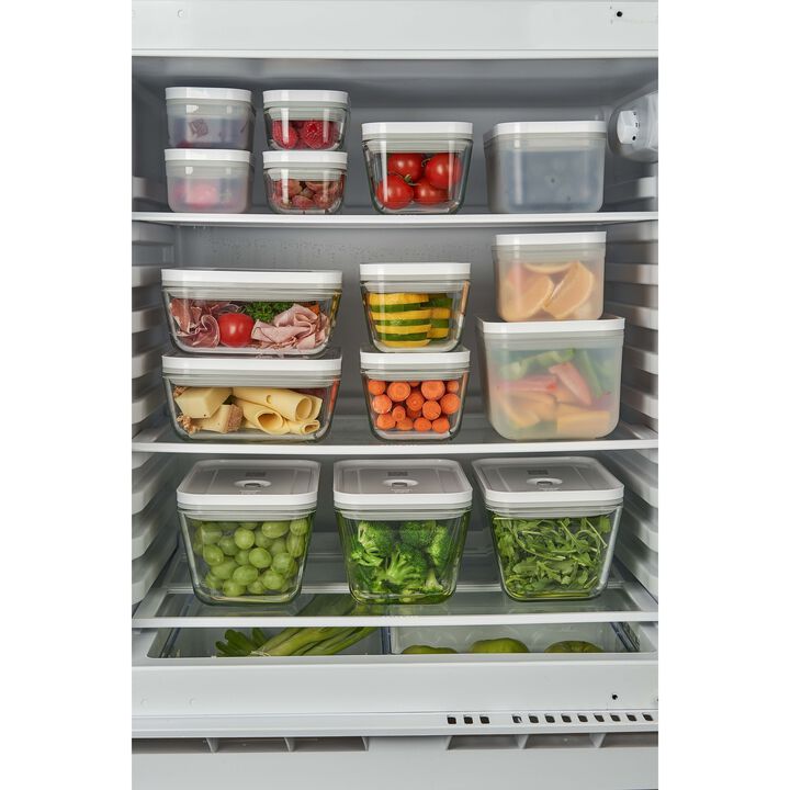 Fresh & Save, Set básico de vacío para preparacion de comidas, plástico, large 4