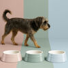 Ceramique, Pet Bowl 400 ml, ceramic, light pink, small 8