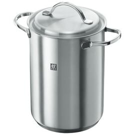 ZWILLING TWIN Specials, 4.5 l Asparagus/pastapot