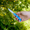 Outdoor, 3-inch, Landman Sodbuster Folding Pocket Knife, Blue Smooth Bone, small 4