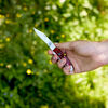 Outdoor, 2.75-inch, Copperhead Folding Pocket Knife, Red Smooth Bone, small 5