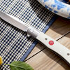 Outdoor, 3-inch, Flipper Folding Pocket Knife, White G10, small 9