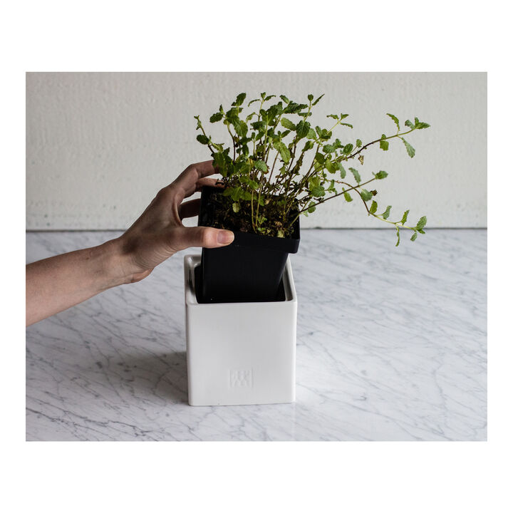 Ceramic Storage, 0.9 qt, Ceramic, Medium Box With Herb Pot And Lid , large 2