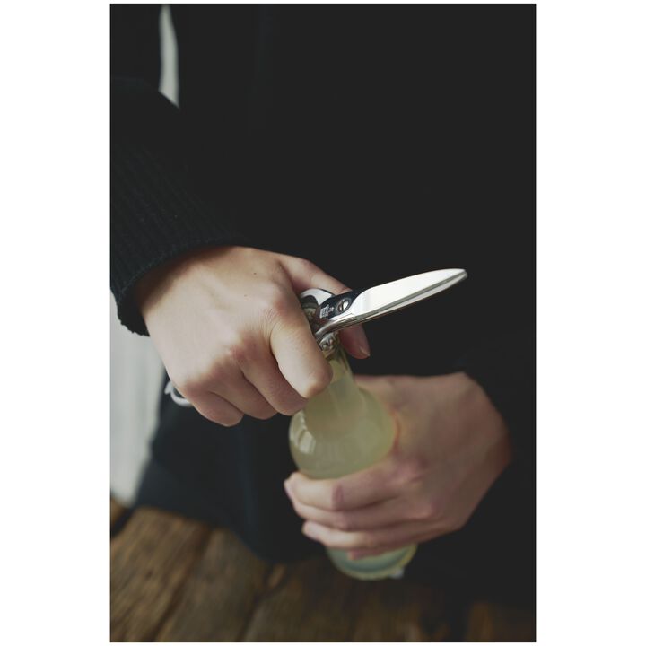 Keukenscharen, Multifunctionele schaar, large 3