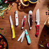 Outdoor, 3.5-inch, Hunting Knife With Leather Sheath, Red Jigged Bone, small 13
