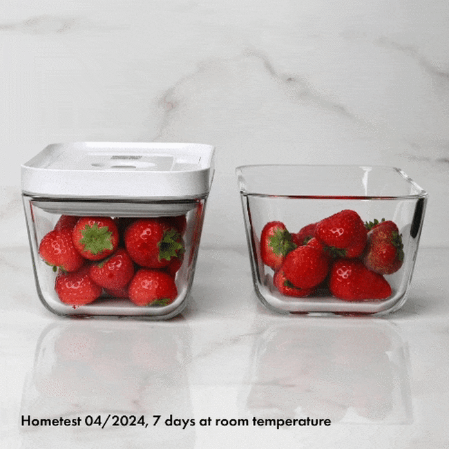 Fresh & Save Vacuum Food Storage System | ZWILLING.COM