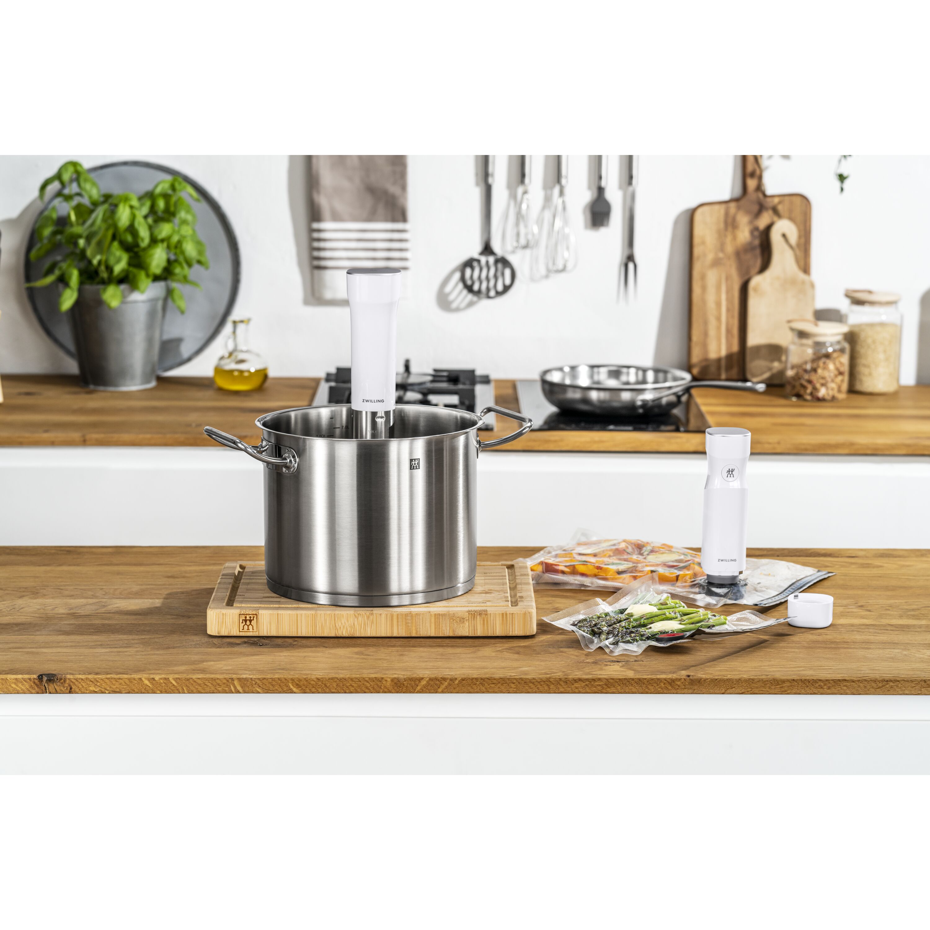 Comprar Varinha sous-vide ZWILLING Enfinigy | ZWILLING.COM