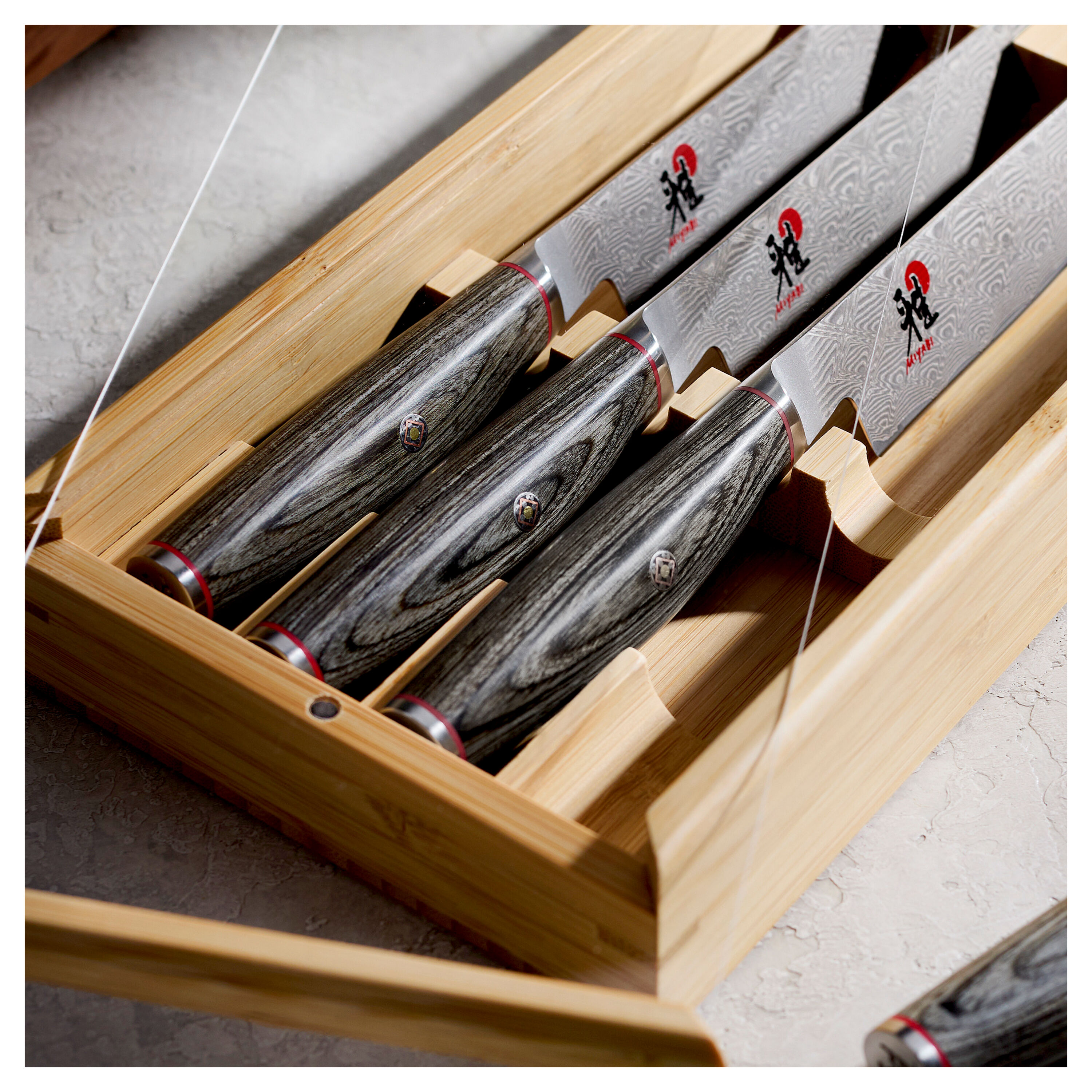 Buy MIYABI Hiko 5-pc, Steak Set | ZWILLING.COM