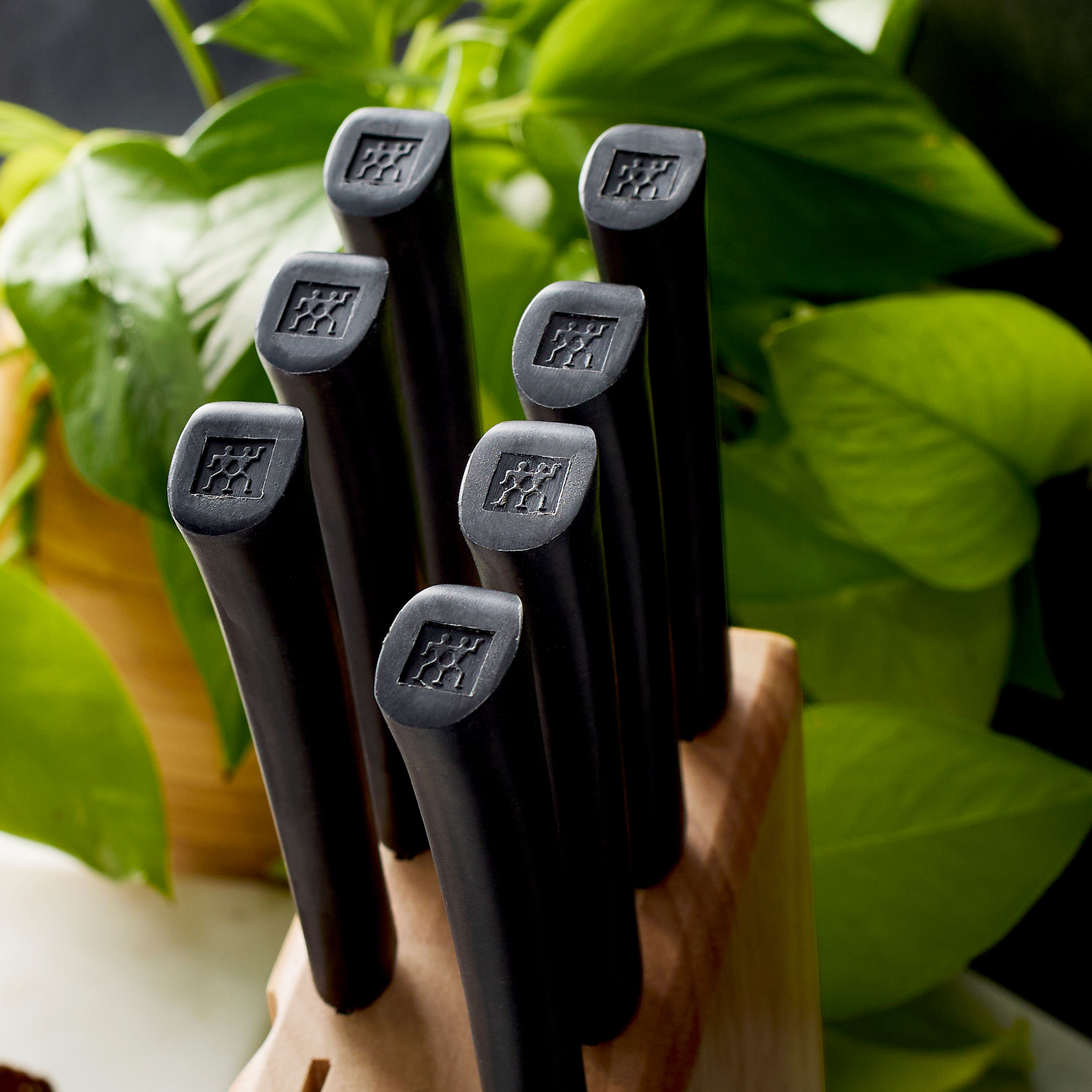Buy ZWILLING Four Star | ZWILLING.COM