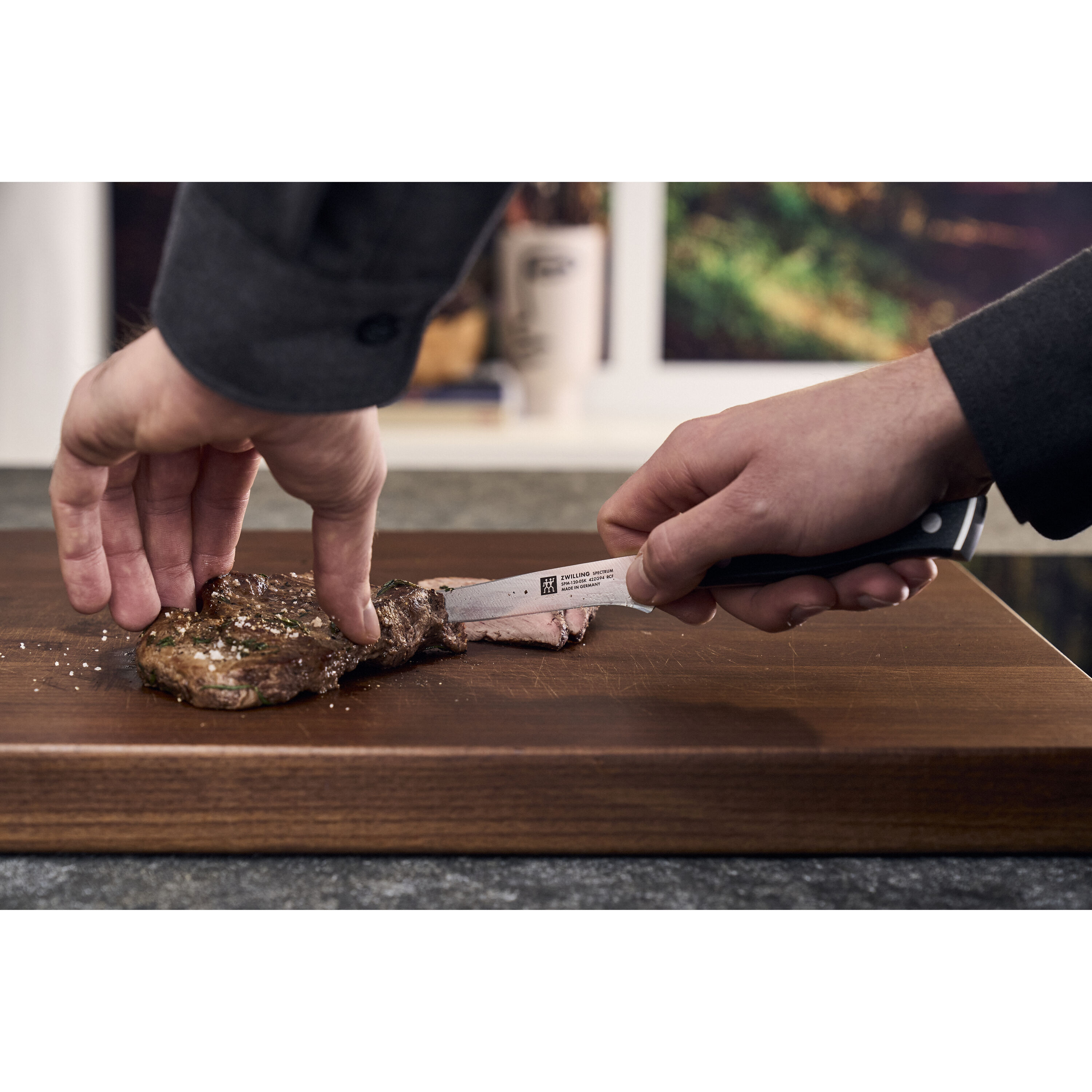 Buy ZWILLING Spectrum Steak set | ZWILLING.COM