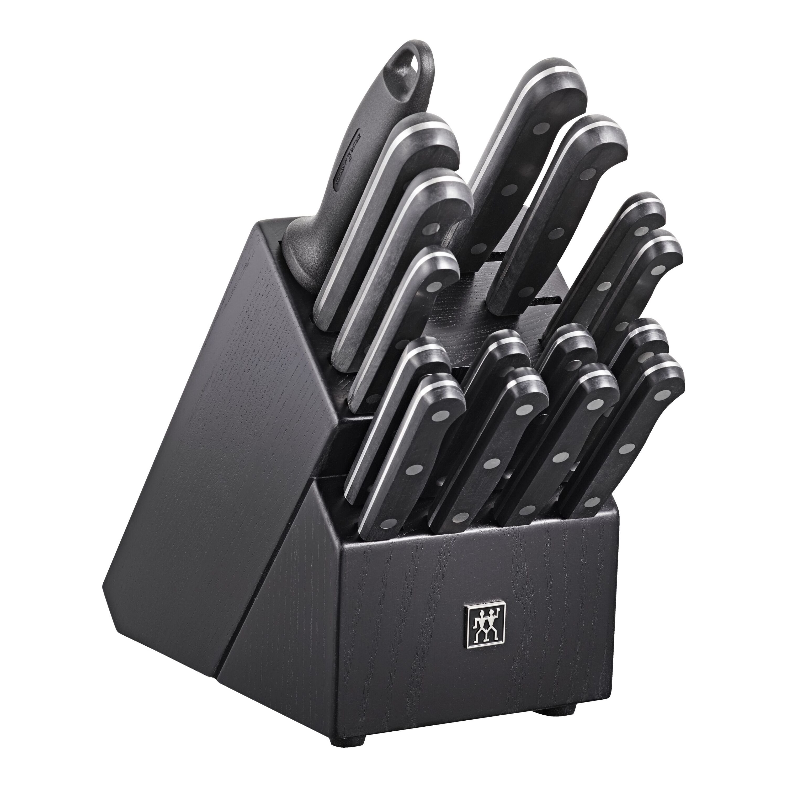 Buy ZWILLING TWIN Gourmet Knife block set