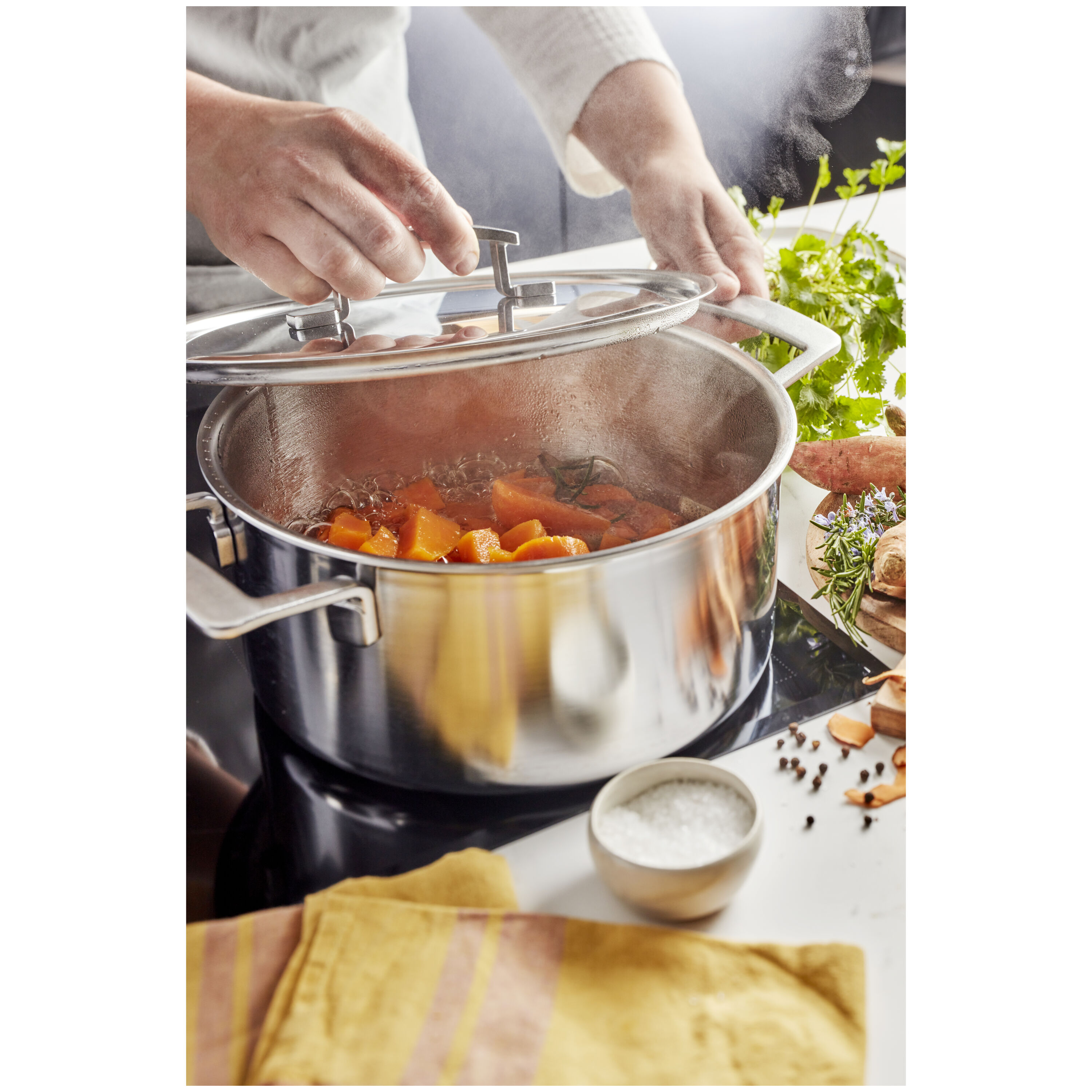 Buy Demeyere Industry 5 Stew pot with lid | ZWILLING.COM