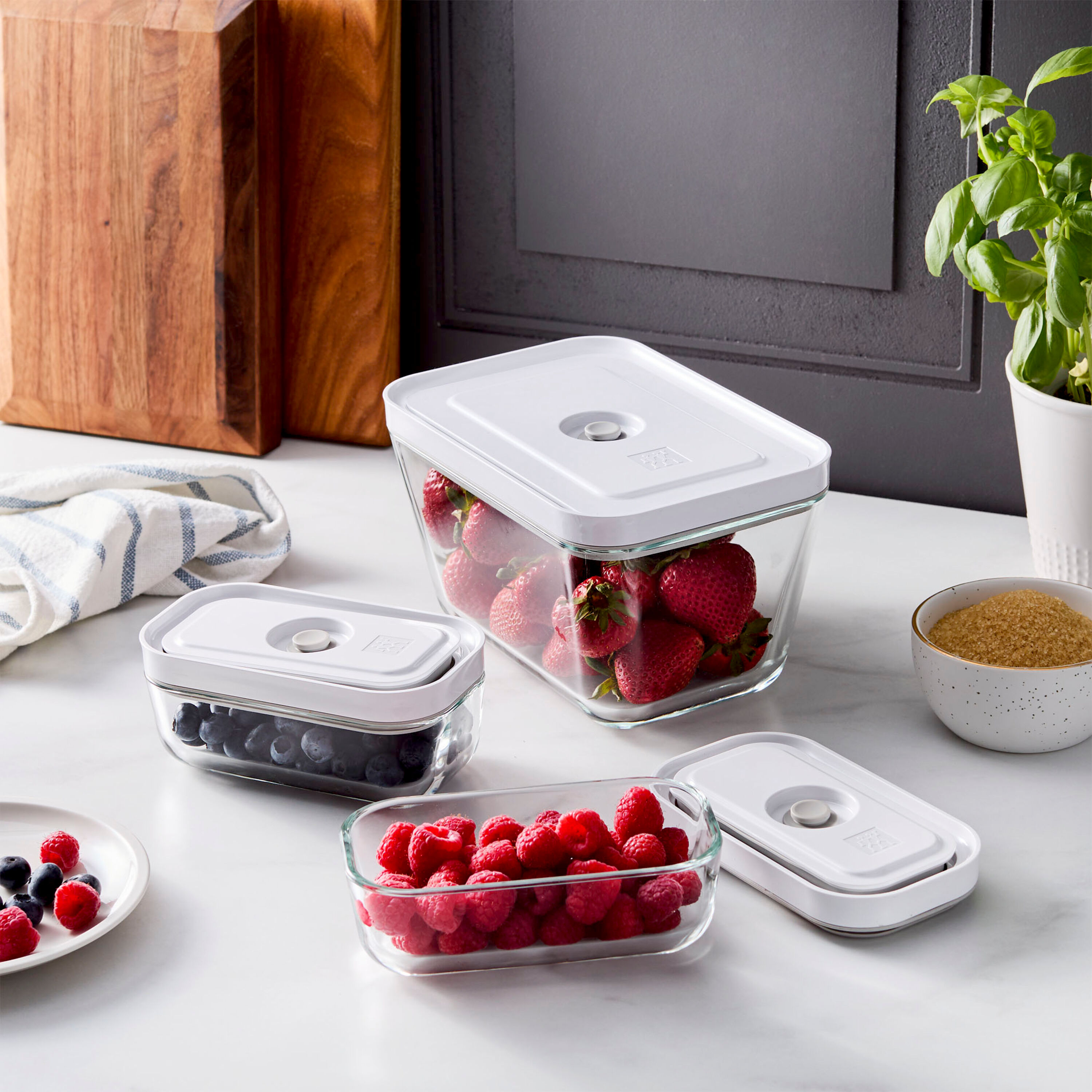 Zwilling FRESH&SAVEシリーズ セット Buy ZWILLING Fresh & Save 3-pc, Vacuum Box Set, Glass, Grey
