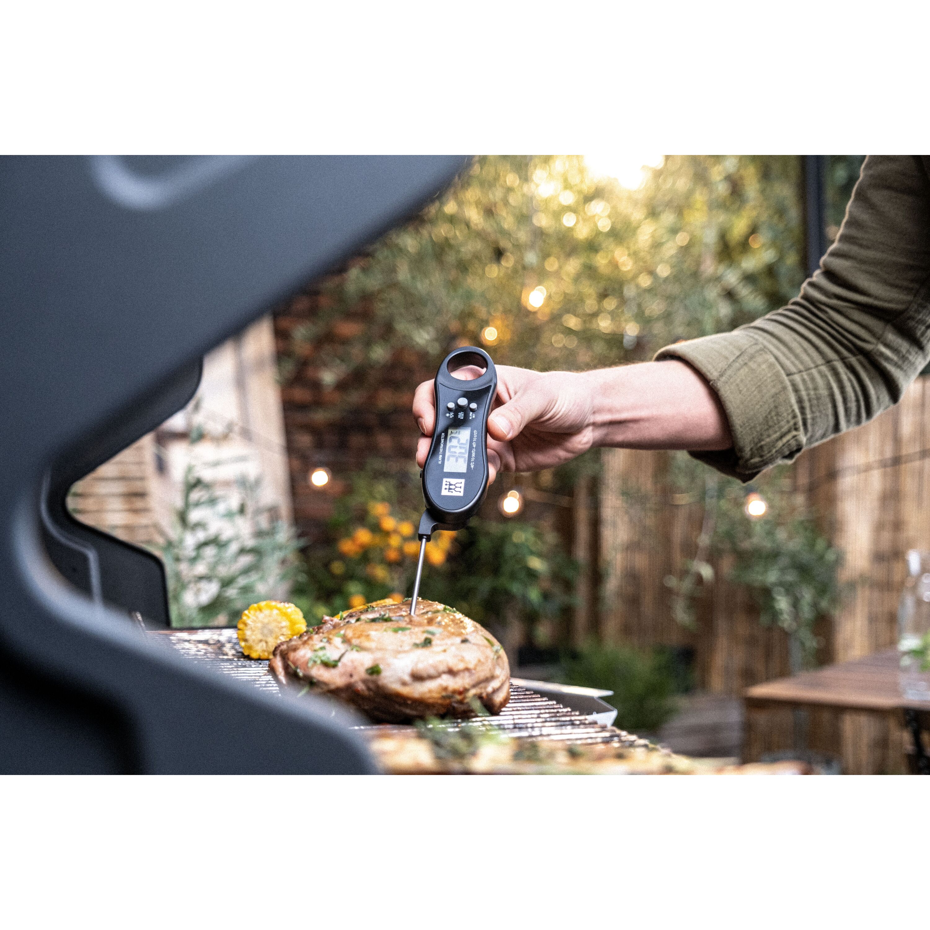 Buy ZWILLING BBQ+ Kitchen gadgets sets | ZWILLING.COM