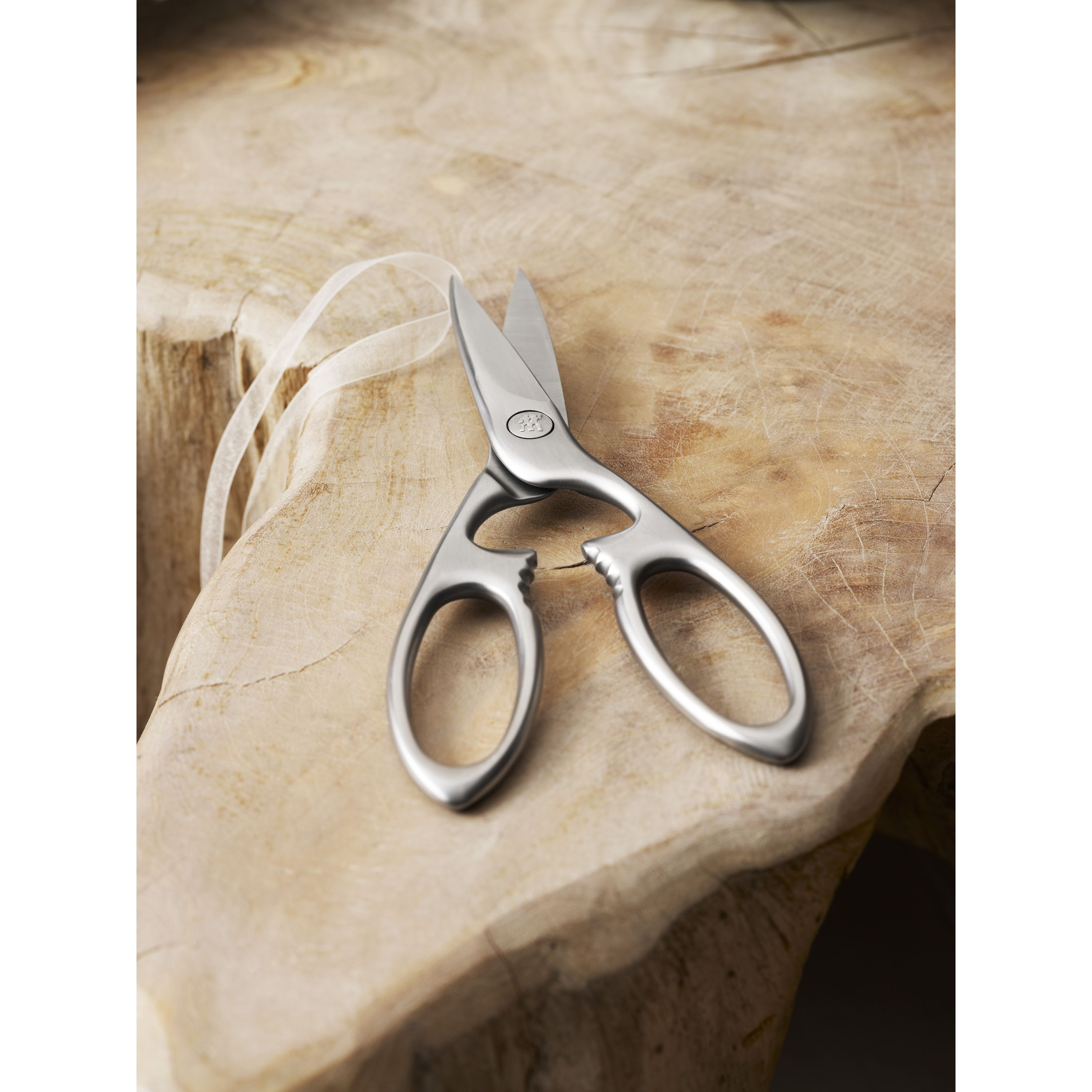 Zwilling Twin M Cooking Scissors Stainless Steel Kitchen Shears