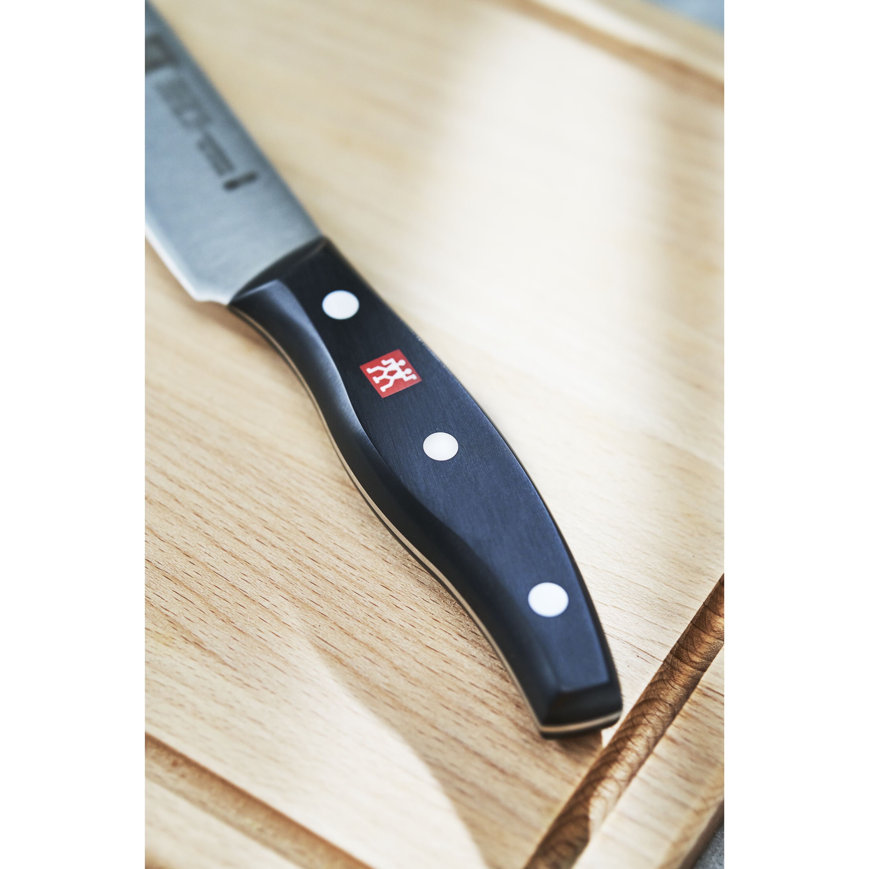 Buy ZWILLING TWIN Pollux 20 cm Carving knife | ZWILLING.COM