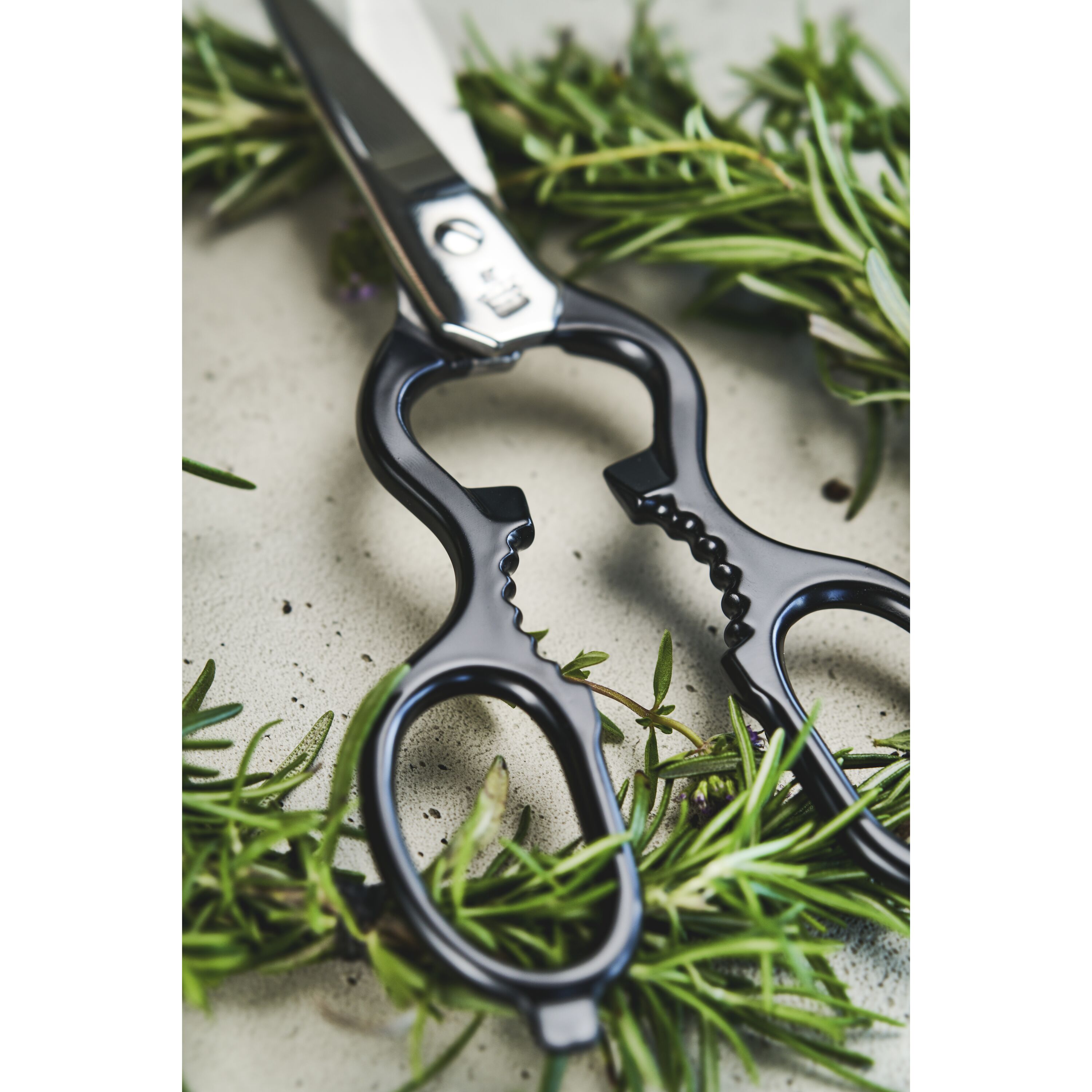 thumbnail image 2 of Victorinox Kitchen Shears That Actually Do It All – Chop, Snip, & Pop Bottles Open! 2 of 3