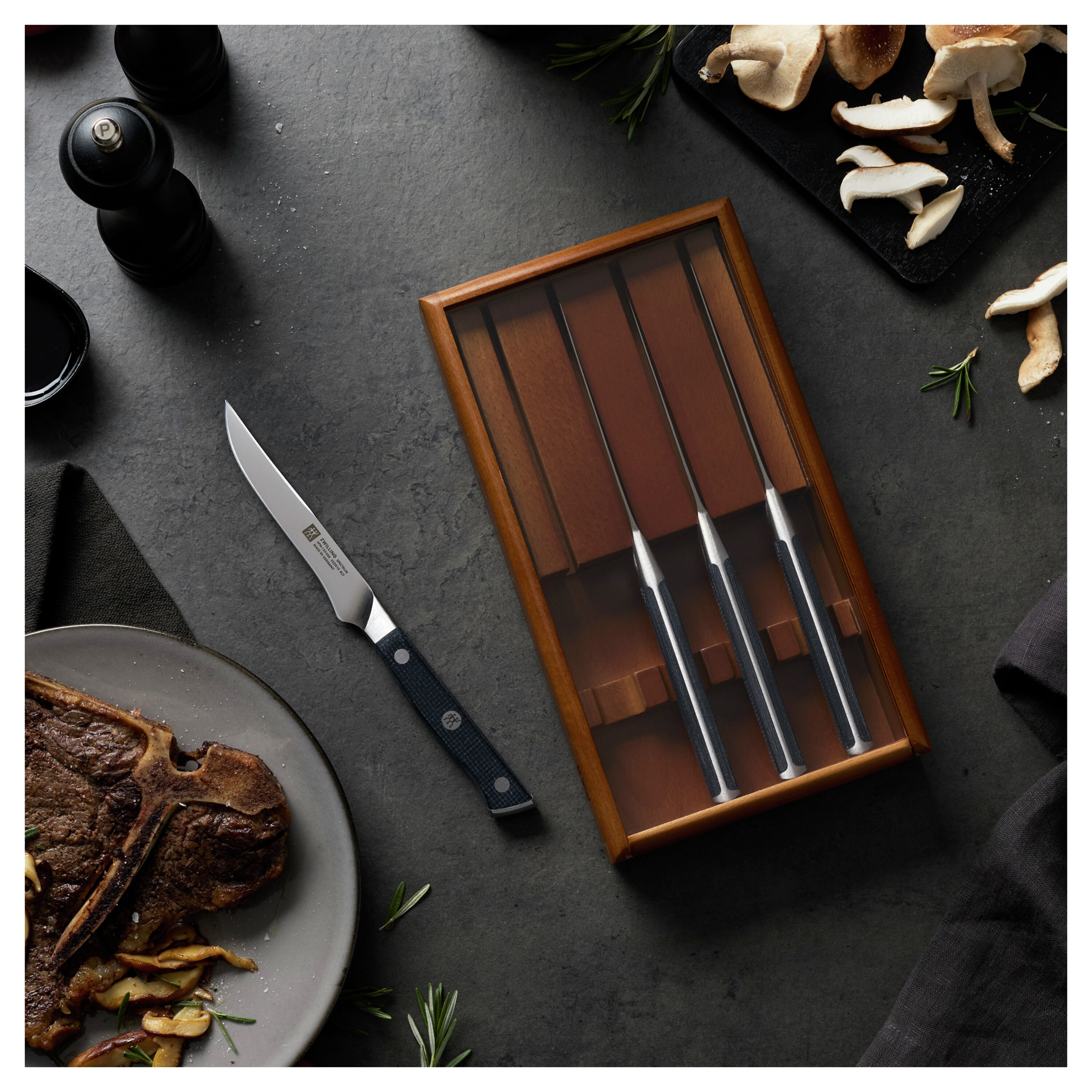 Buy ZWILLING Spectrum Steak set | ZWILLING.COM