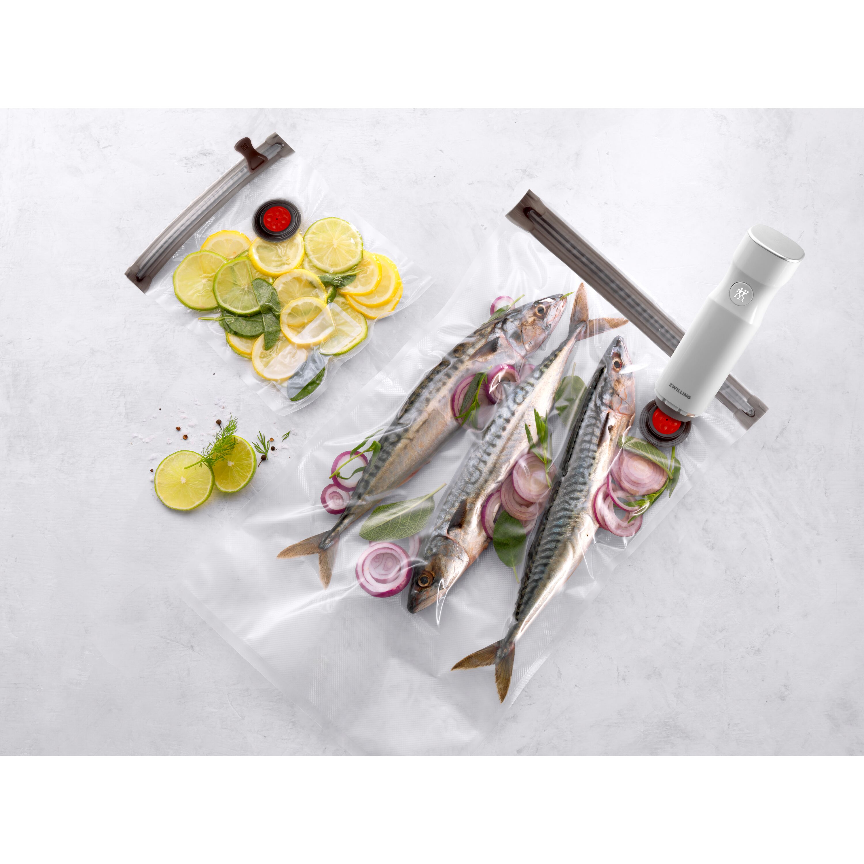 Buy ZWILLING Fresh & Save plastic / S/M/L Vacuum starter set, 11