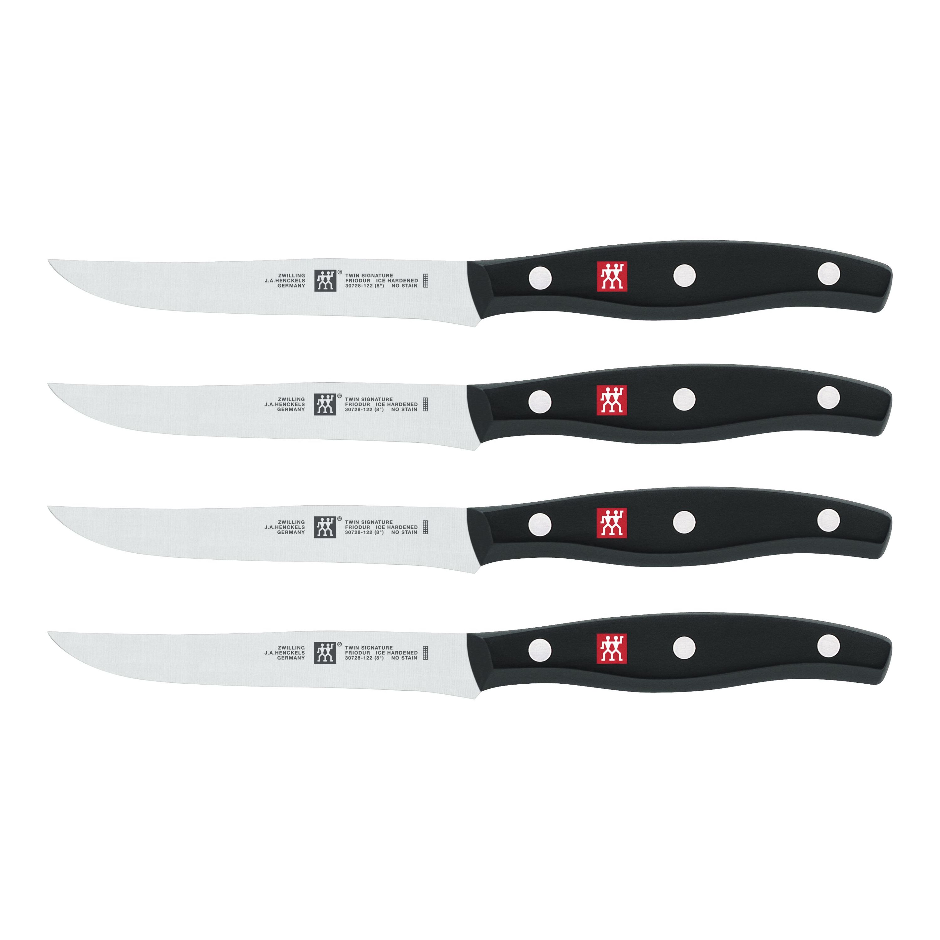 Buy ZWILLING TWIN Signature Knife set