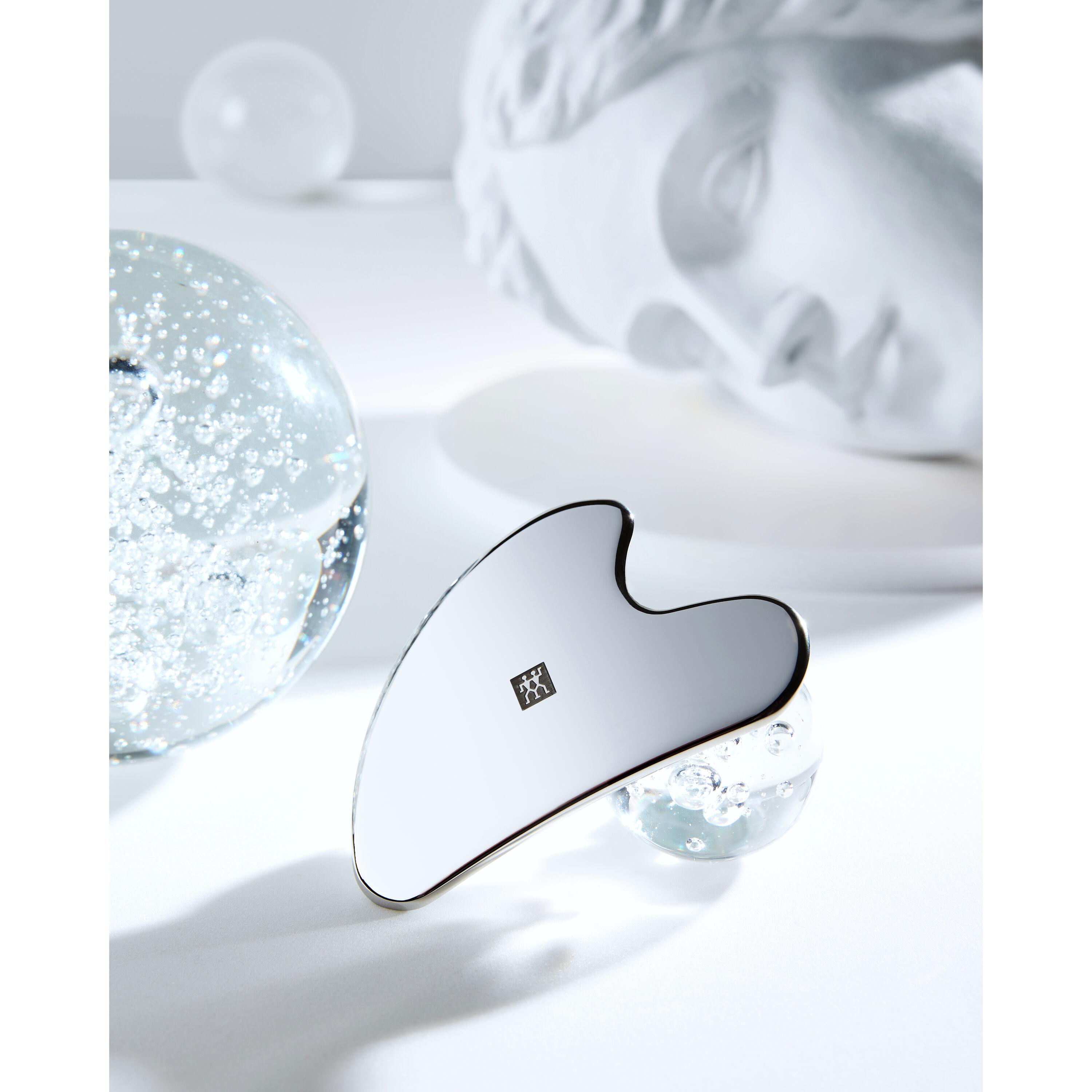 Buy ZWILLING PREMIUM Skin care tool | ZWILLING.COM